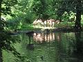 Zoo Cottbus 092